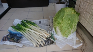 野菜の差し入れ.JPG